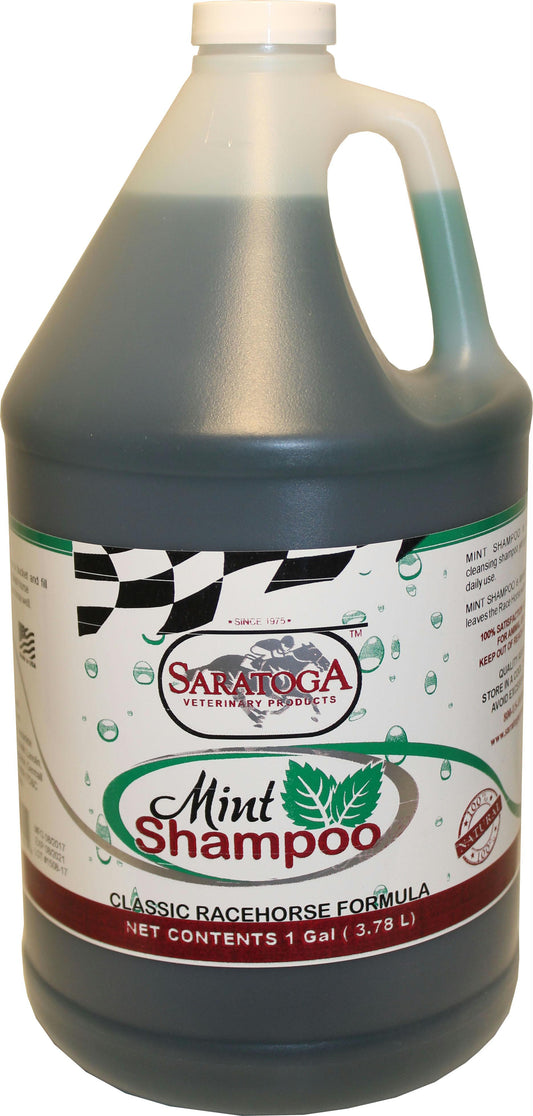 Mint Shampoo - aomega-products