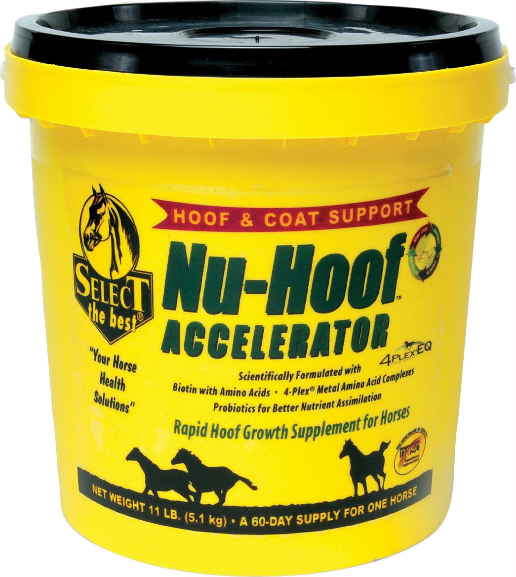 Nu-hoof Accelerator Hoof & Coat Support For Horses - aomega-products