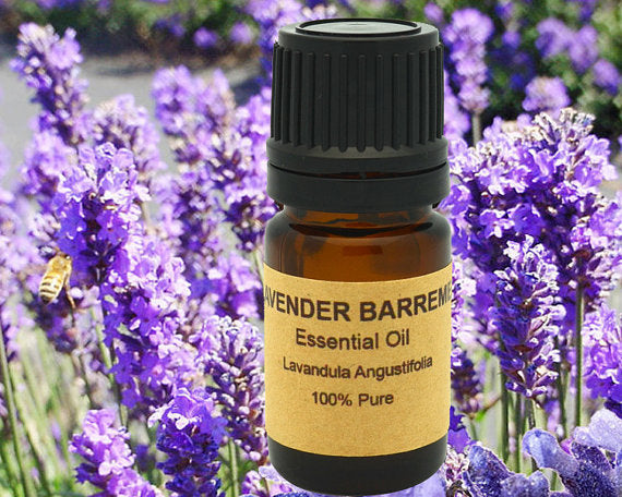 Lavender Essential  from France, Region of - aomega-products