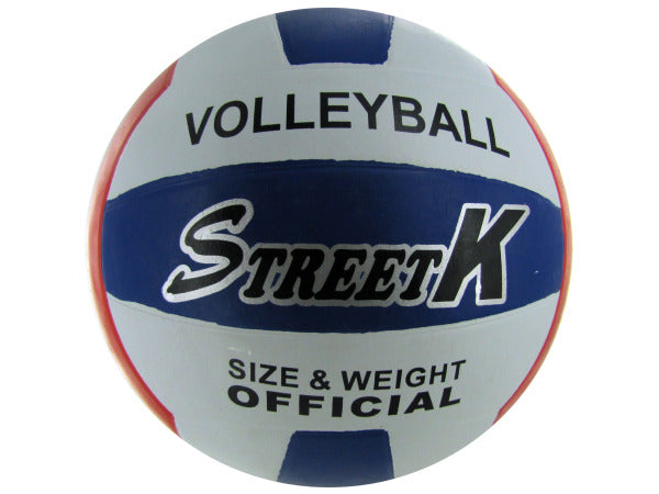 Official Size and Weight Volleyball - aomega-products